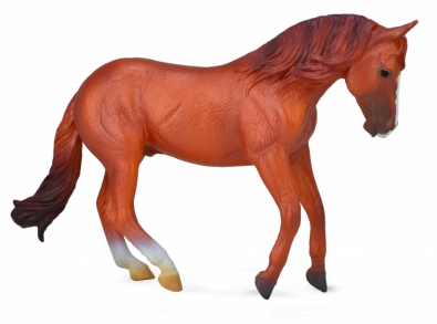 澳洲种公马 -板粟色 - horses-1-20-scale