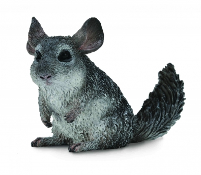 Long-Tailed Chinchilla - south-america