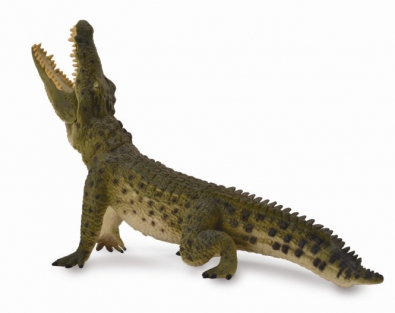 Nile Crocodile - Leaping  - 88725