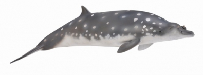 Blainville's Beaked Whale - 88761