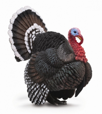 Turkey  - 88762