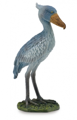 Shoebill - africa