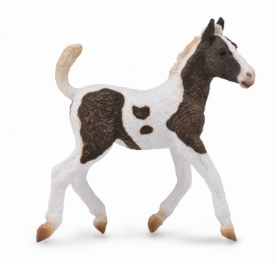 Curly Foal - 88781