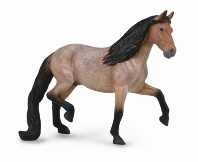 Mangalarga Marchador Stallion - Bay Roan - 88791