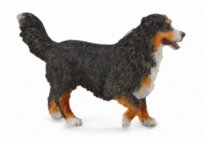 Bernese Mountain Dog - 88801