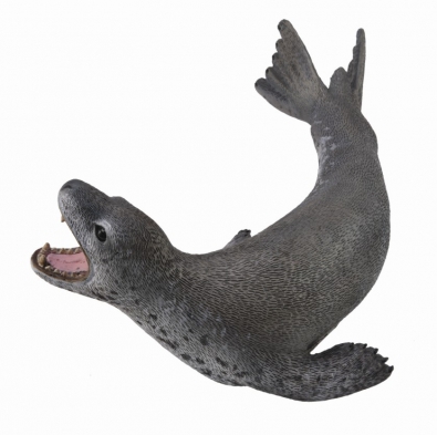 Leopard Seal