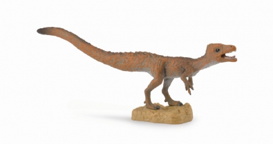 Sciurumimus - age-of-dinosaurs-popular-sizes
