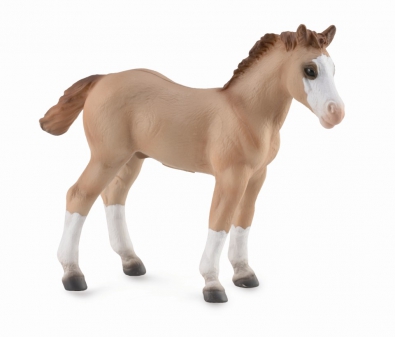 奎特小马-红啡灰色 - horses-1-20-scale