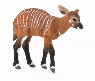 African Wild Ass Replica  # 88664 ~Ships free/USA w/ $25 CollectA Products 