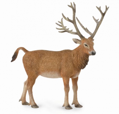 Père David's deer - 88829