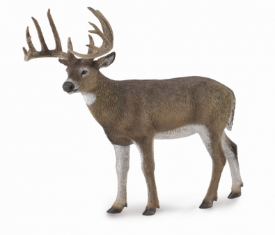 White-Tailed Deer - 88832