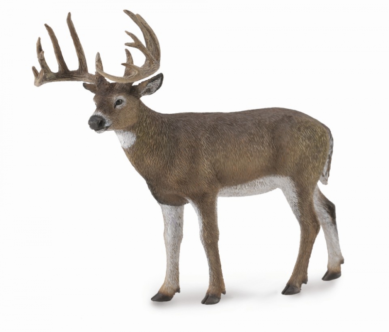 Schleich White Tail Deer & Faon Jouet en plastique Wild Zoo Woodland Animal Nouveau 