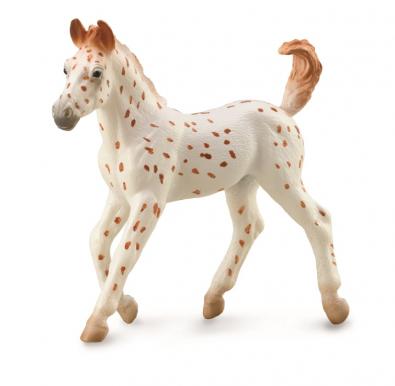 Knabstrupper Foal - Leopard Spotted - horses-1-20-scale