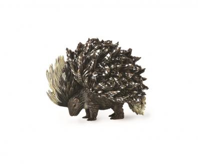 Porcupine  - asia-and-australasia