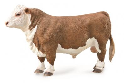 Hereford Bull - Polled - farm-life