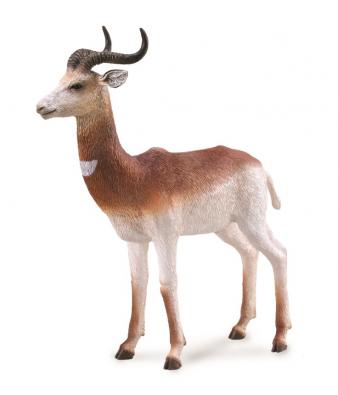 Dama Gazelle