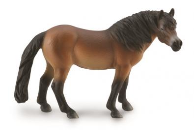 Exmoor Pony Stallion  - 88873