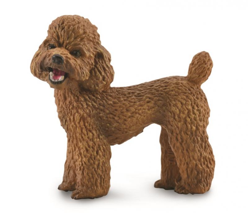 TOY POODLE 88880 ~ Dog Replica ~ New/2020  FREE SHIP/USAw/$25+CollectA Products 