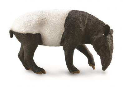 Malayan Tapir - 88881