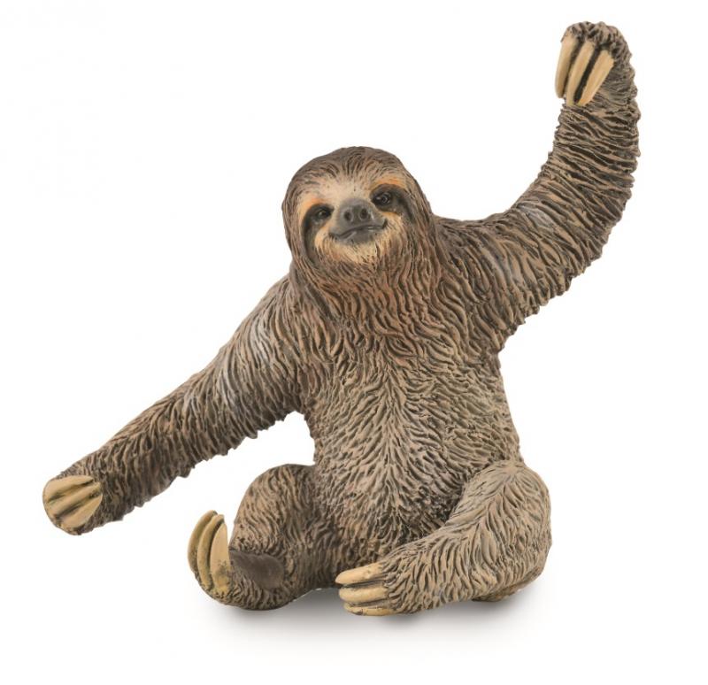 Sloth - Collecta Figures: Animal Toys, Dinosaurs, Farm, Wild, Sea, Insect,  Horses, Prehistoric, Woodlands, Dogs, Cats, Animal Replica
