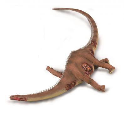Brontosaurus Presa - age-of-dinosaurs-popular-sizes