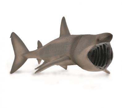 Tiburón Peregrino - oceans