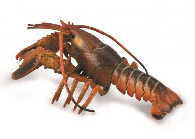 Lobster - 88920