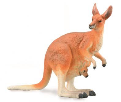 Red Kangaroo - Female with Joey  - asia-and-australasia