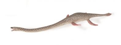 Elasmosaurus - 88922