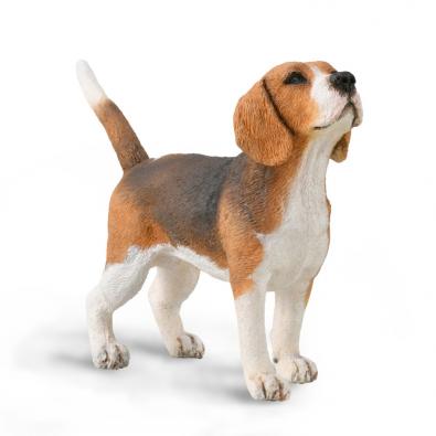 Beagle - 88935