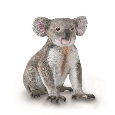 Koala - asia-and-australasia