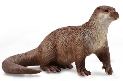 Common Otter - 88941