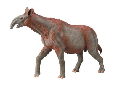 Paraceratherium - Deluxe. Escala - other-prehistoric-animals
