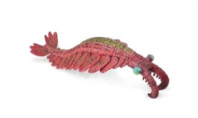 Anomalocaris - other-prehistoric-animals