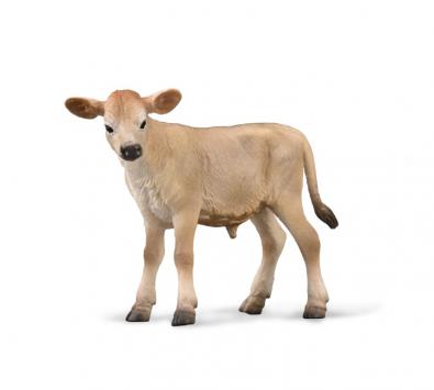 Jersey Calf - farm-life