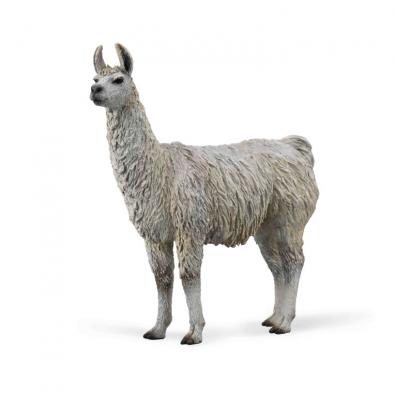 Llama - farm-life