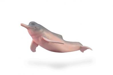 Delfín del Amazonas - 88994