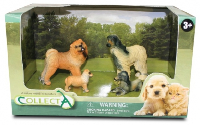 4pcs Dog & Cat Open Boxed Set