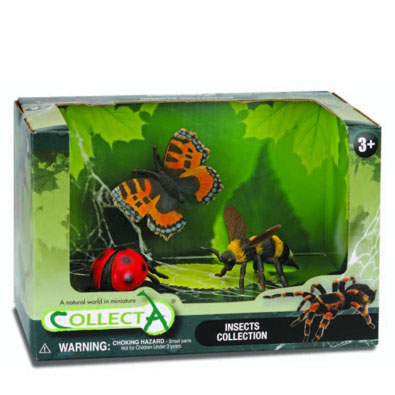 3pcs Insects Open Boxed Set