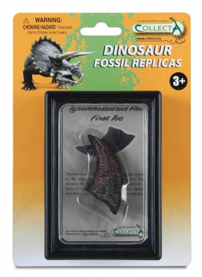 First Toe of Tyrannosaurus Rex Box Set - 89280