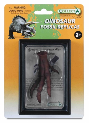 Pie de Tyrannosaurus - 89284