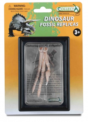 Foot Replica of Velociraptor Box Set - 89285