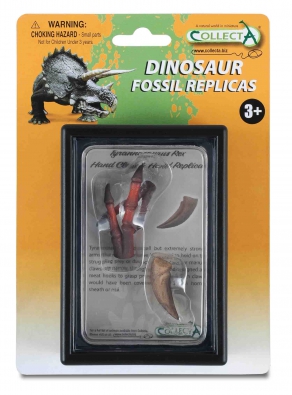 Garra y  Mano de Tyrannosaurus - box-sets