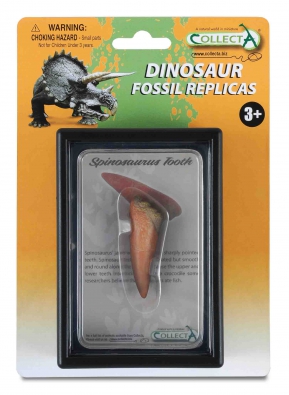 Tooth of Spinosaurus Box Set