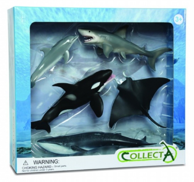 5pcs sea-life Boxed Set - box-sets