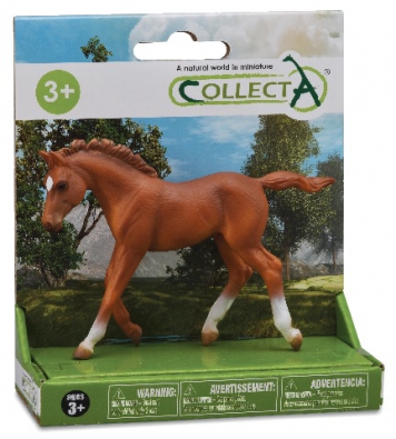 1 pc Horse Platform - box-sets