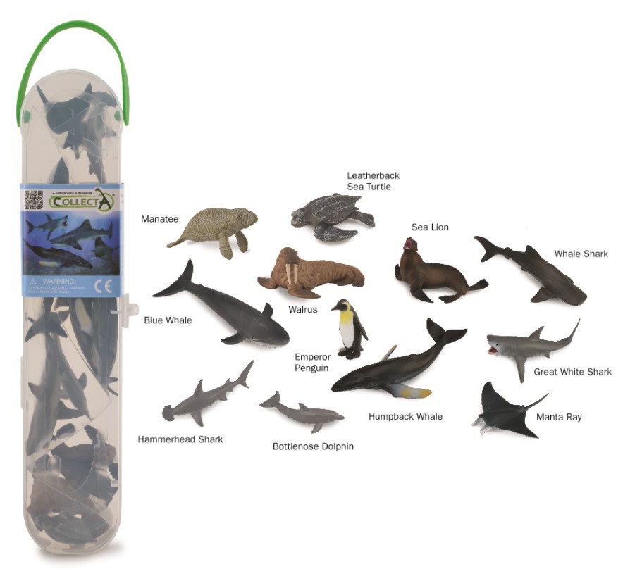 CollectA cachalot solide Jouet en plastique Wild Sea Marine Ocean Animal Nouveau 